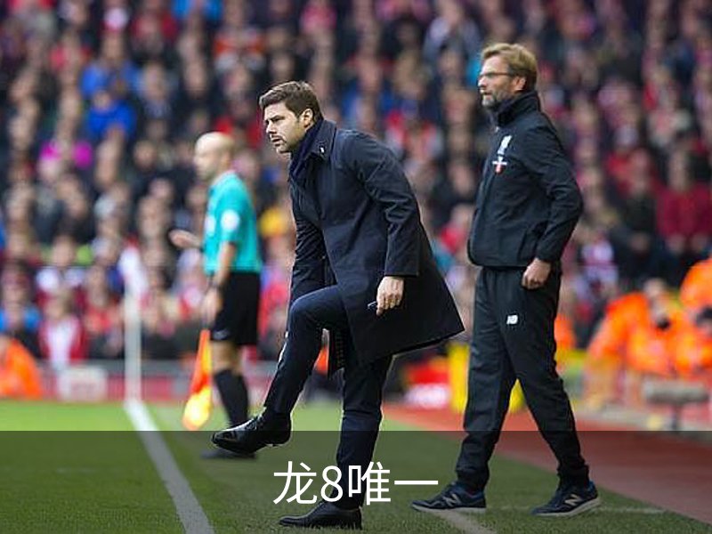 龙8唯一概况